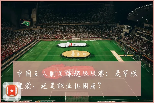中国五人制足球超级联赛：是草根逆袭，还是职业化困局？